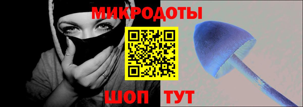 Ялта  Псилоцибиновые грибы мухоморы  Вход с VPN  купить наркоту  Псилоцибиновые грибы Psilocybe 